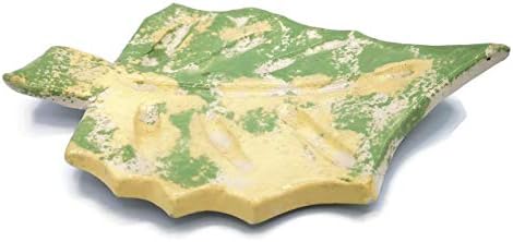 Green Ceramic Soap Dish Handmade Eco-Friendly