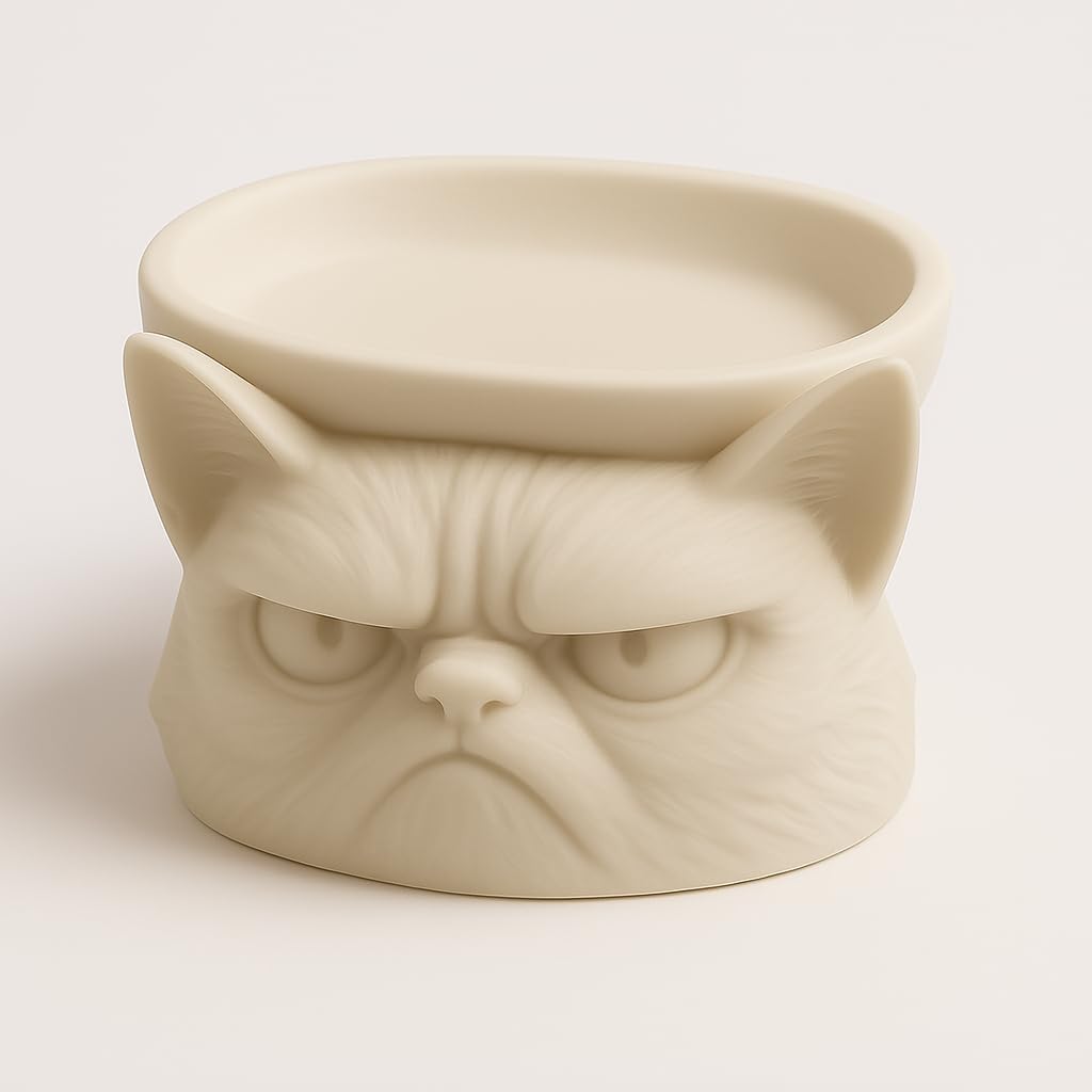 Grumpy Cat Soap Dish with Funny Face